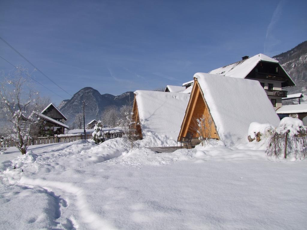 Campsite Garden Eco Cebelica
